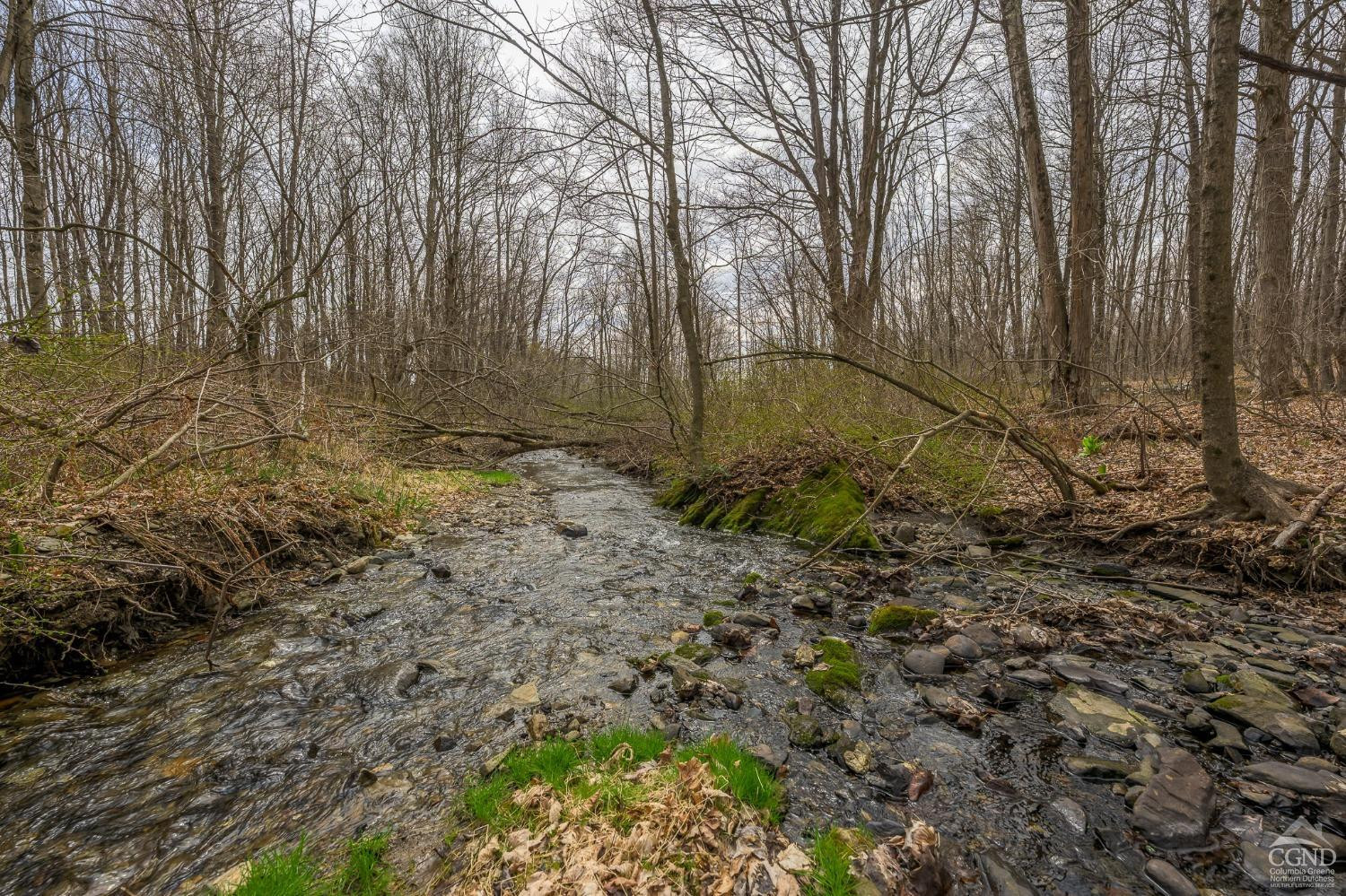 1606 Bulls Head Road Clinton Corners, NY 12514 - Photo 33 of 92 Photo 33