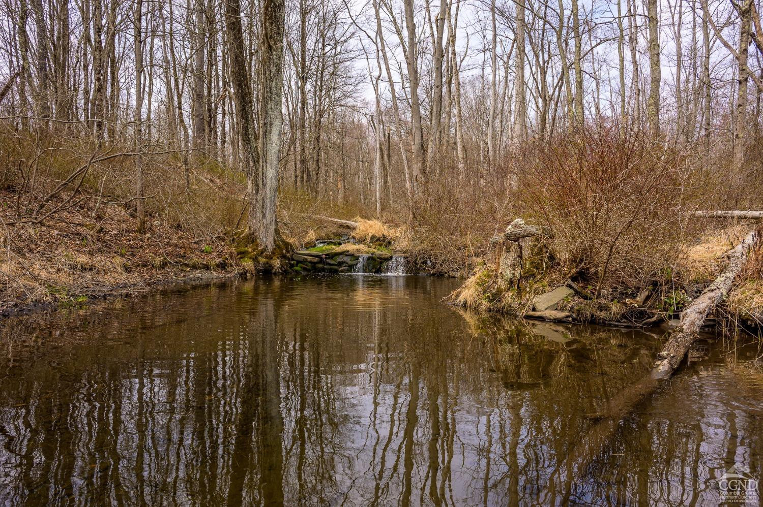 1606 Bulls Head Road Clinton Corners, NY 12514 - Photo 39 of 92 Photo 39