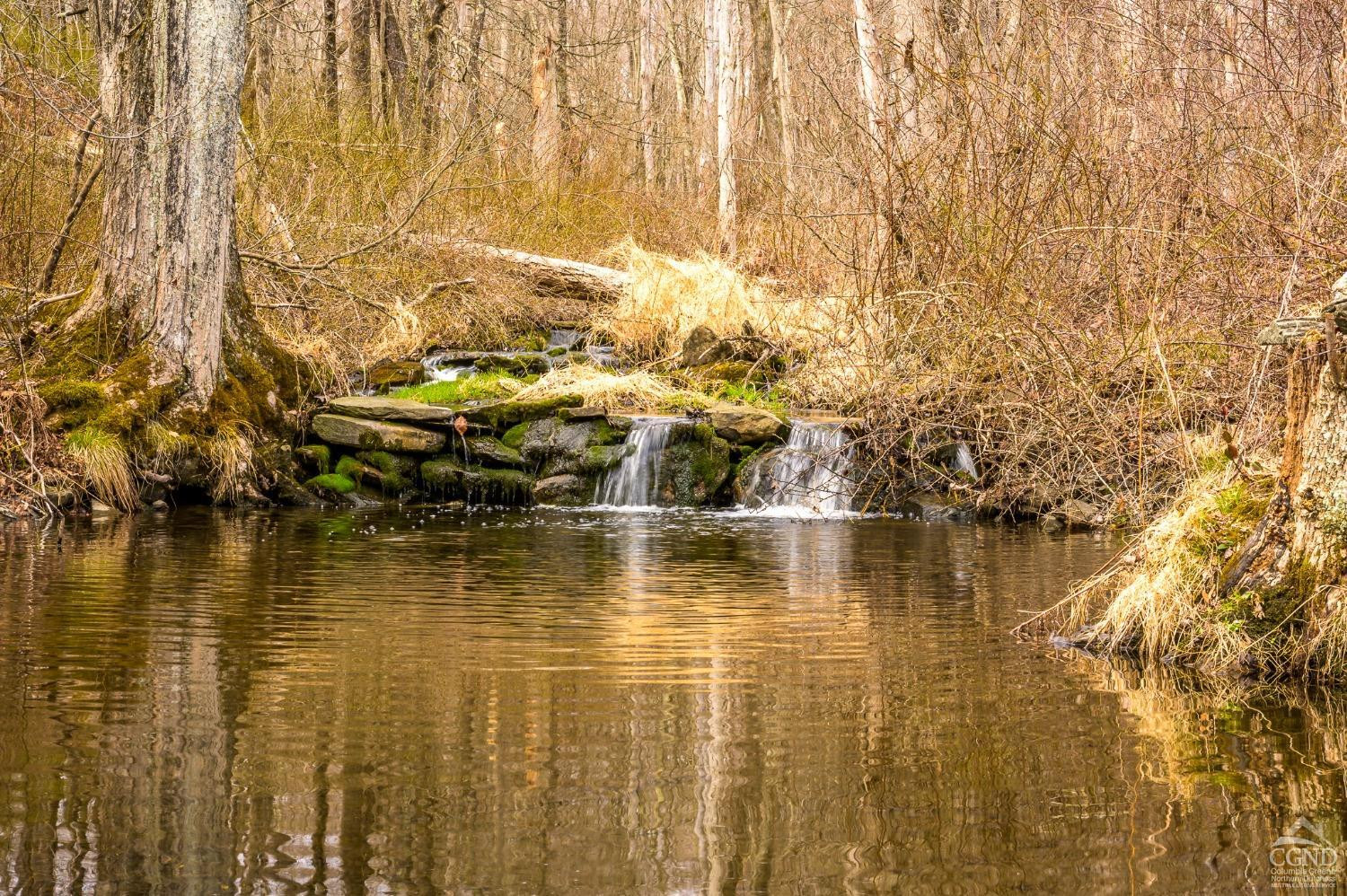 1606 Bulls Head Road Clinton Corners, NY 12514 - Photo 42 of 92 Photo 42