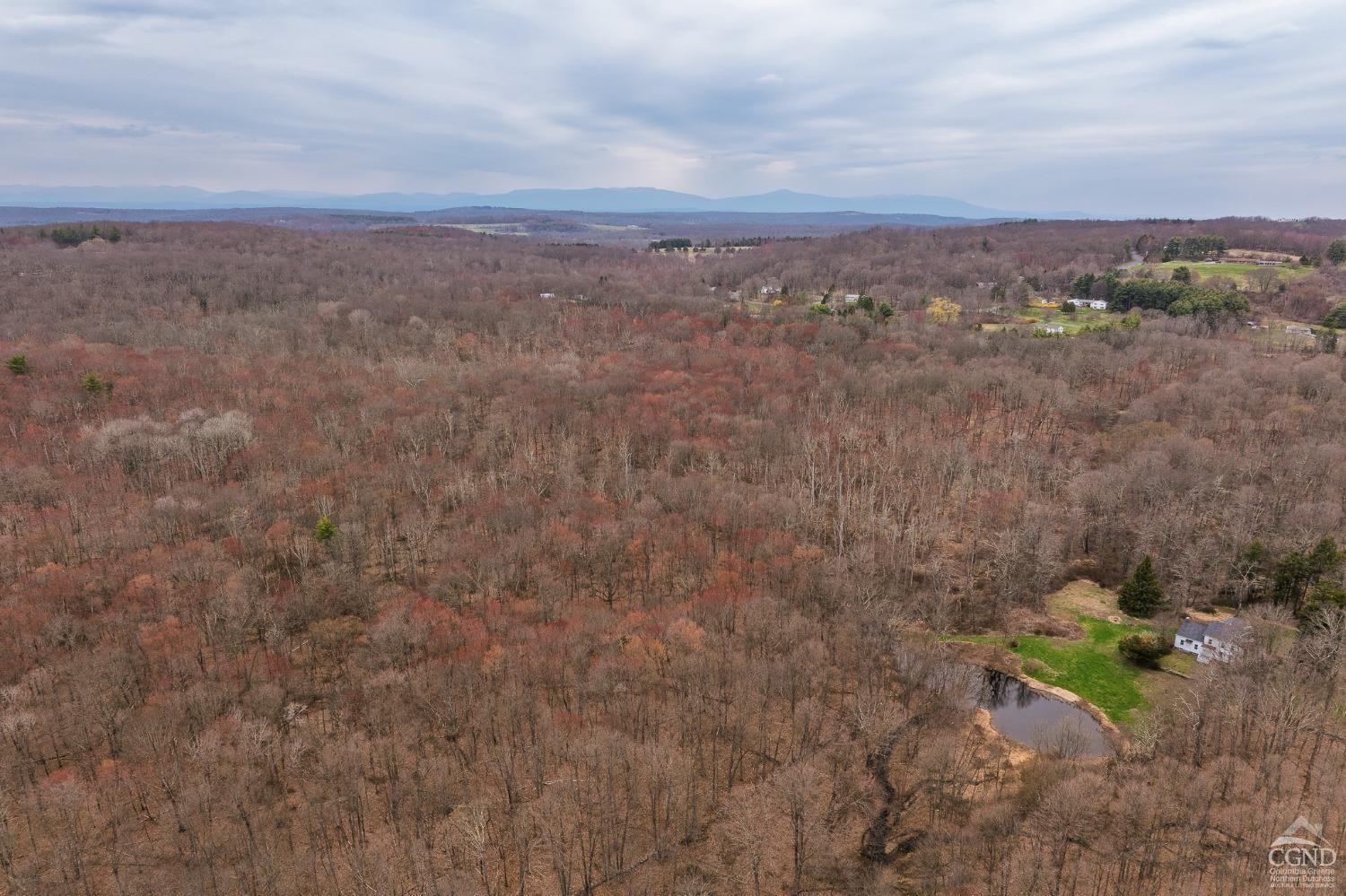 1606 Bulls Head Road Clinton Corners, NY 12514 - Photo 43 of 92 Photo 43