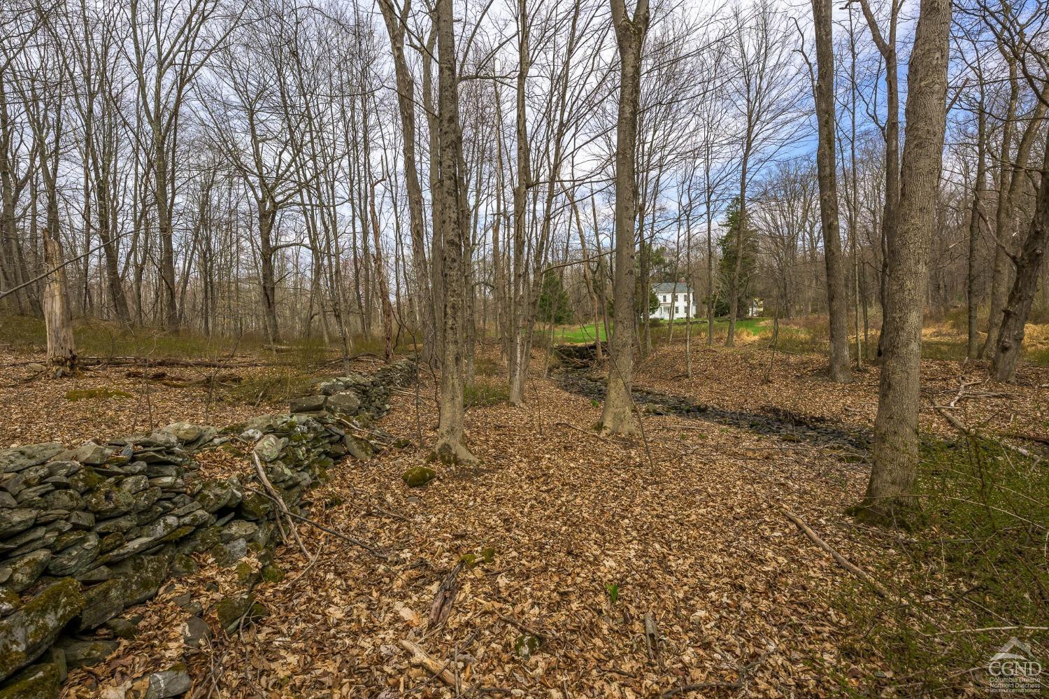 1606 Bulls Head Road Clinton Corners, NY 12514 - Photo 57 of 92 Photo 58