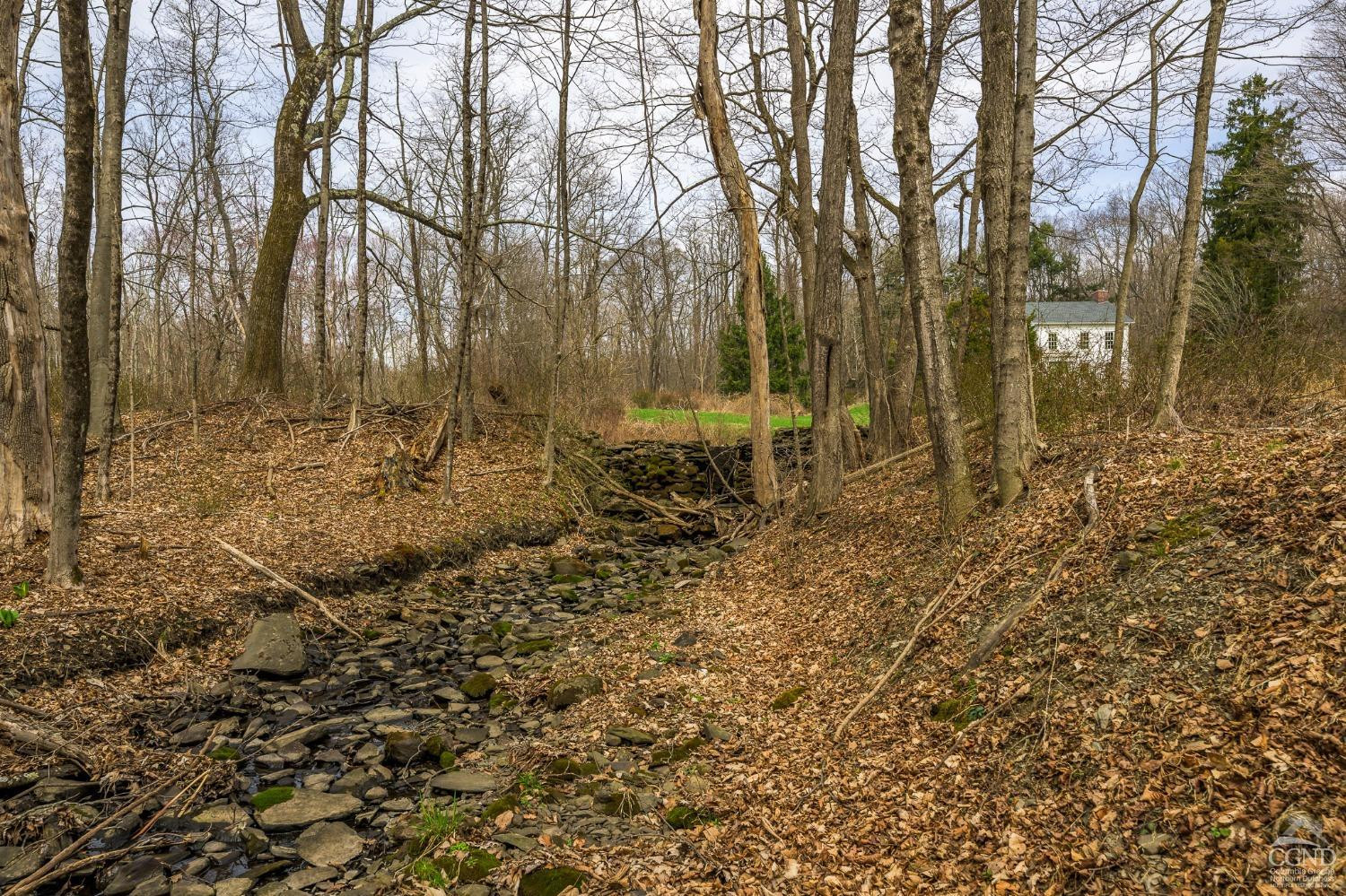 1606 Bulls Head Road Clinton Corners, NY 12514 - Photo 59 of 92 Photo 60