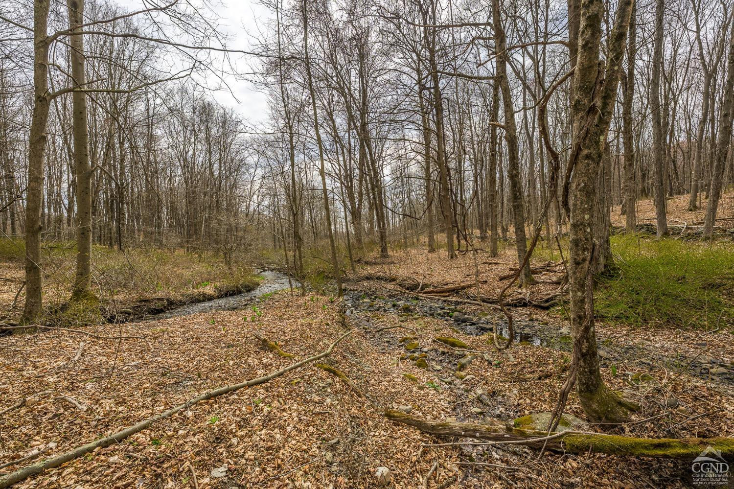 1606 Bulls Head Road Clinton Corners, NY 12514 - Photo 60 of 92 Photo 61