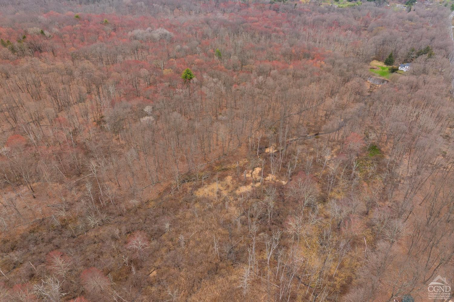 1606 Bulls Head Road Clinton Corners, NY 12514 - Photo 68 of 92 Photo 69