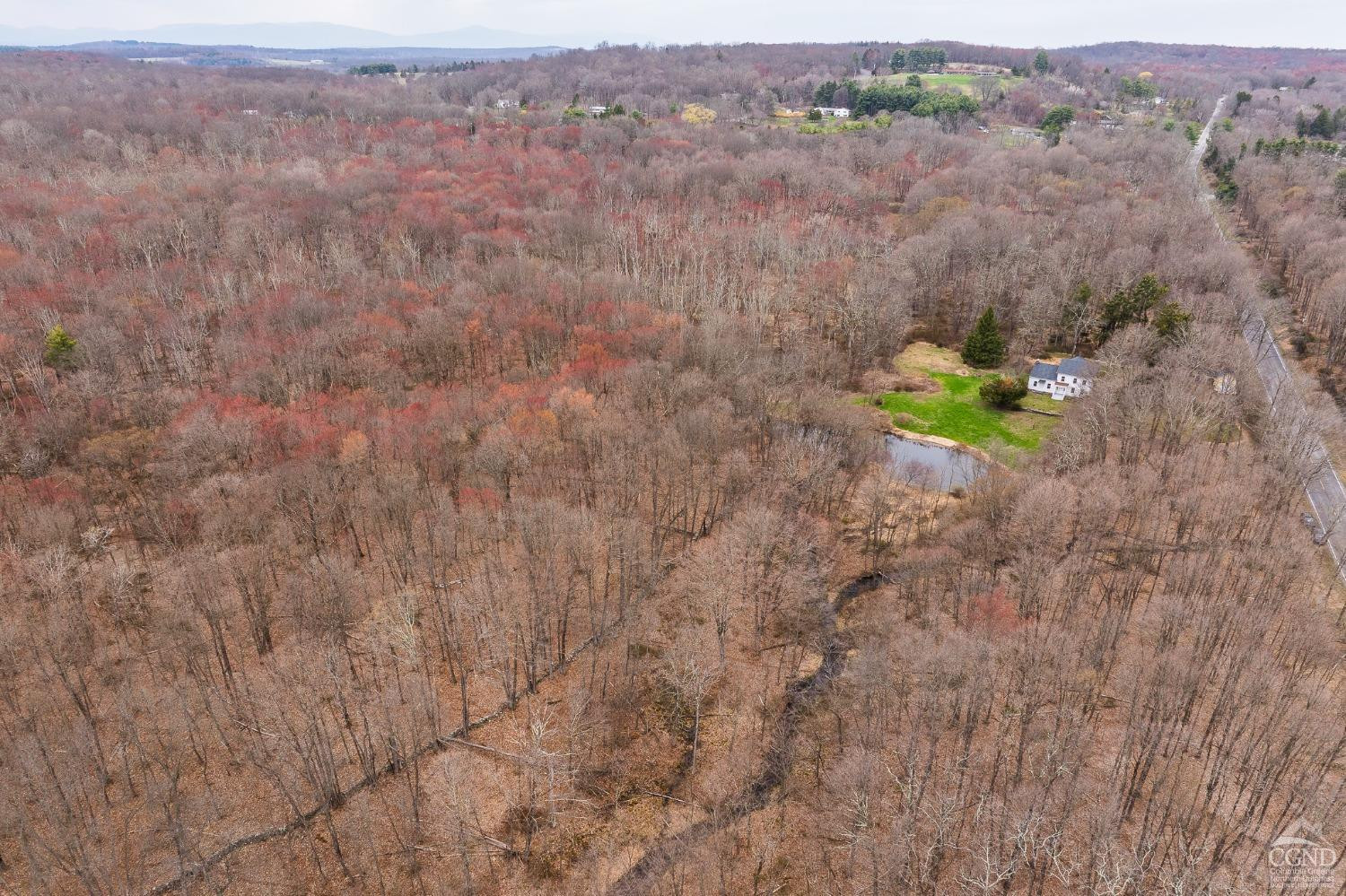 1606 Bulls Head Road Clinton Corners, NY 12514 - Photo 71 of 92 Photo 72