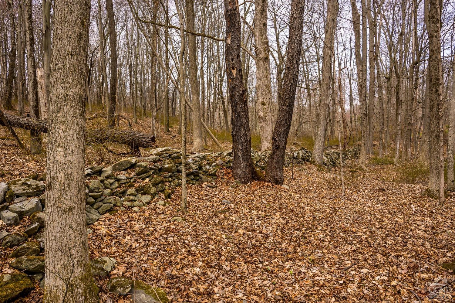 1606 Bulls Head Road Clinton Corners, NY 12514 - Photo 76 of 92 Photo 77