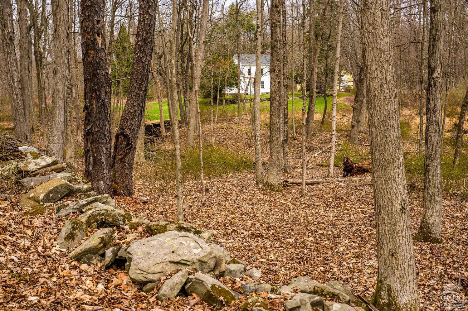 1606 Bulls Head Road Clinton Corners, NY 12514 - Photo 78 of 92 Photo 79