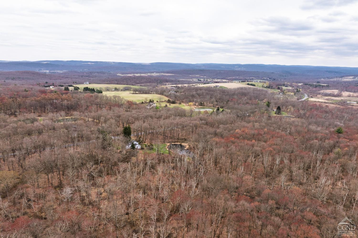 1606 Bulls Head Road Clinton Corners, NY 12514 - Photo 82 of 92 Photo 83