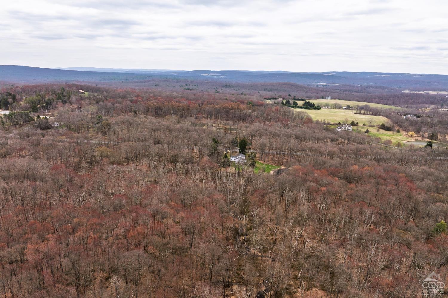 1606 Bulls Head Road Clinton Corners, NY 12514 - Photo 84 of 92 Photo 85