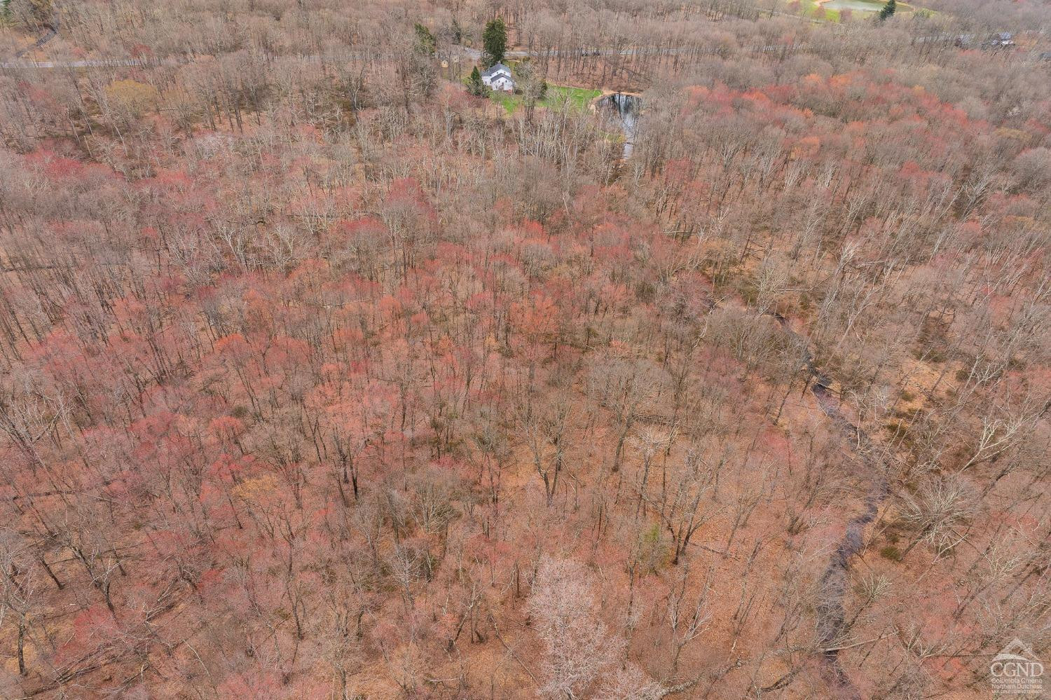 1606 Bulls Head Road Clinton Corners, NY 12514 - Photo 85 of 92 Photo 86