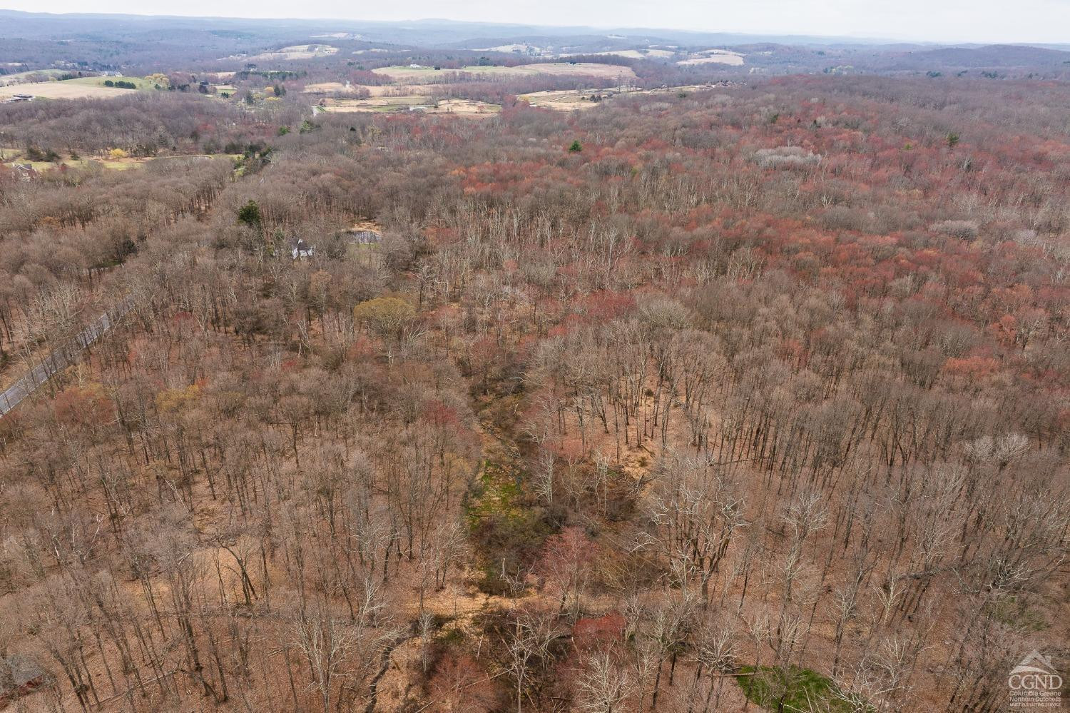 1606 Bulls Head Road Clinton Corners, NY 12514 - Photo 89 of 92 Photo 90