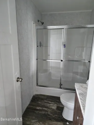 a bathroom with a shower and toilet