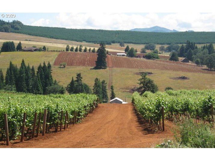 0 Red Hill Road Oakland, OR 97462 - Photo 1 of 32
