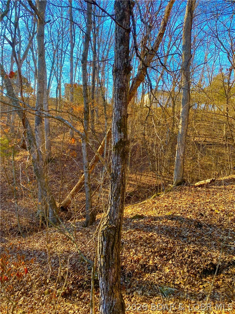 12420 County Road Holts Summit, MO 65043 - Photo 36 of 36 View from the back of the land looking toward the