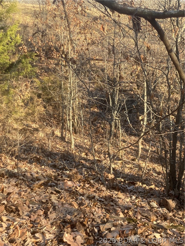 12420 County Road Holts Summit, MO 65043 - Photo 36 of 44 Goes all the way back to this big fence.