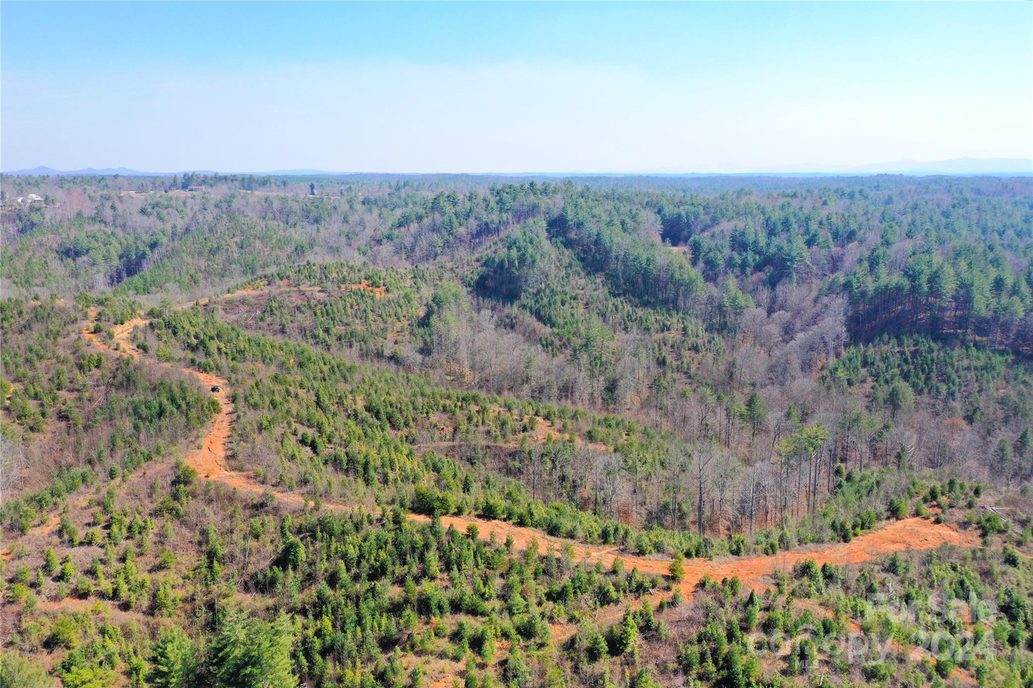 a view of a field with a tree in the background
