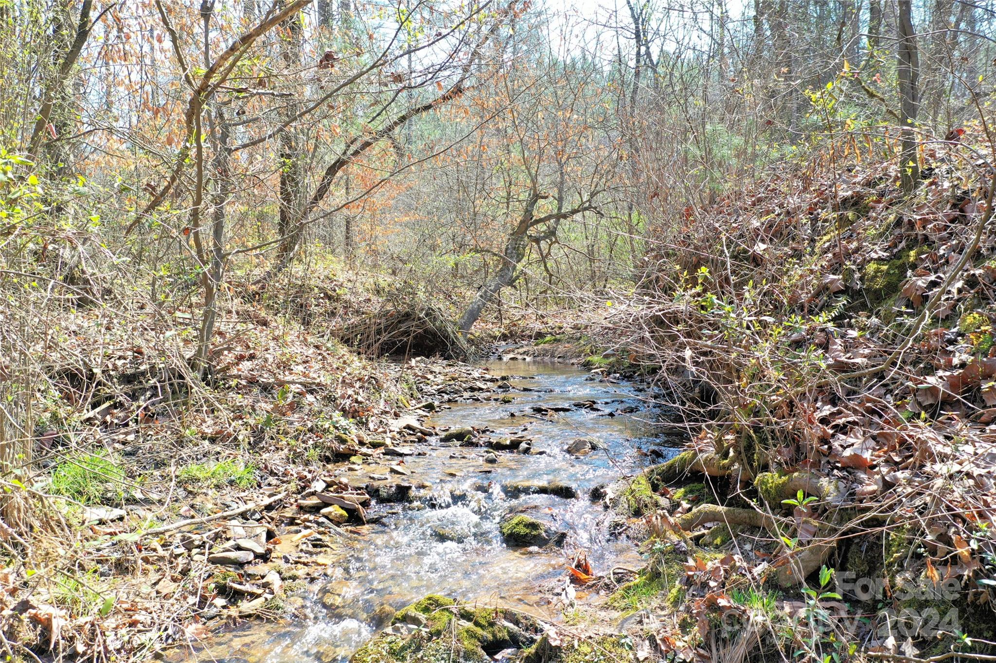 0 Playmore Beach Road Lenoir, NC 28645 - Photo 11 of 16 a view of a yard with a tree