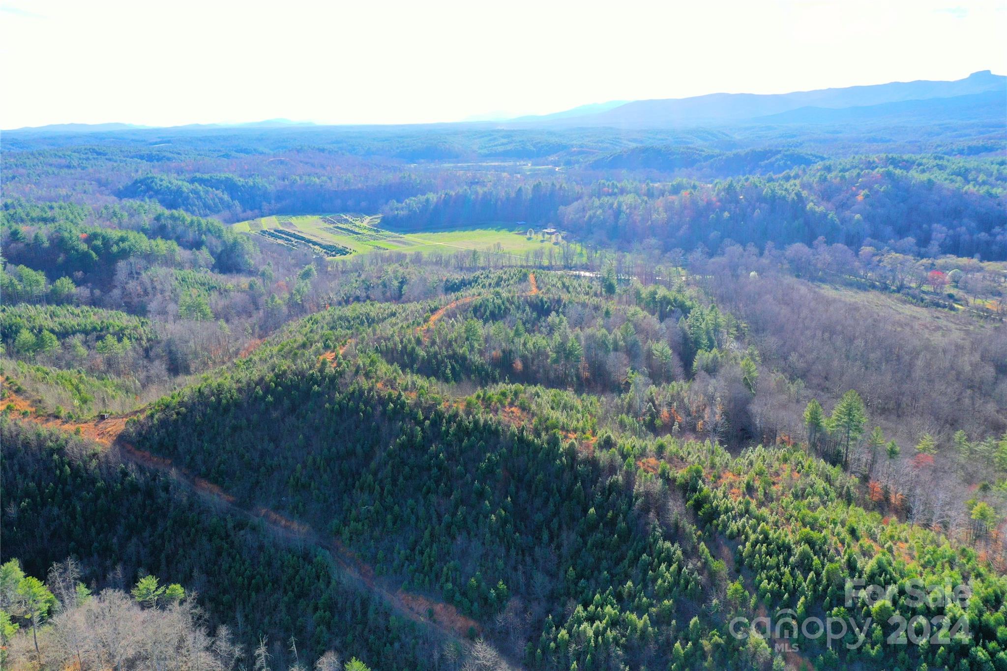 0 Playmore Beach Road Lenoir, NC 28645 - Photo 15 of 16 an aerial view of residential house and green space