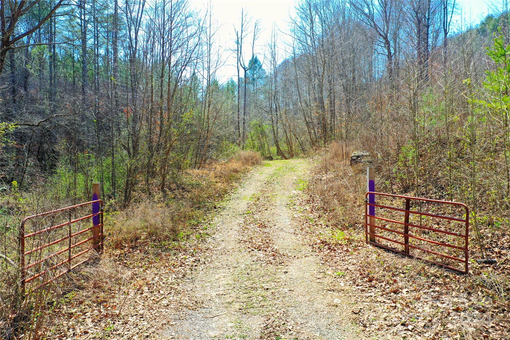 0 Playmore Beach Road Lenoir, NC 28645 - Photo 2 of 16 a view of a yard with large trees