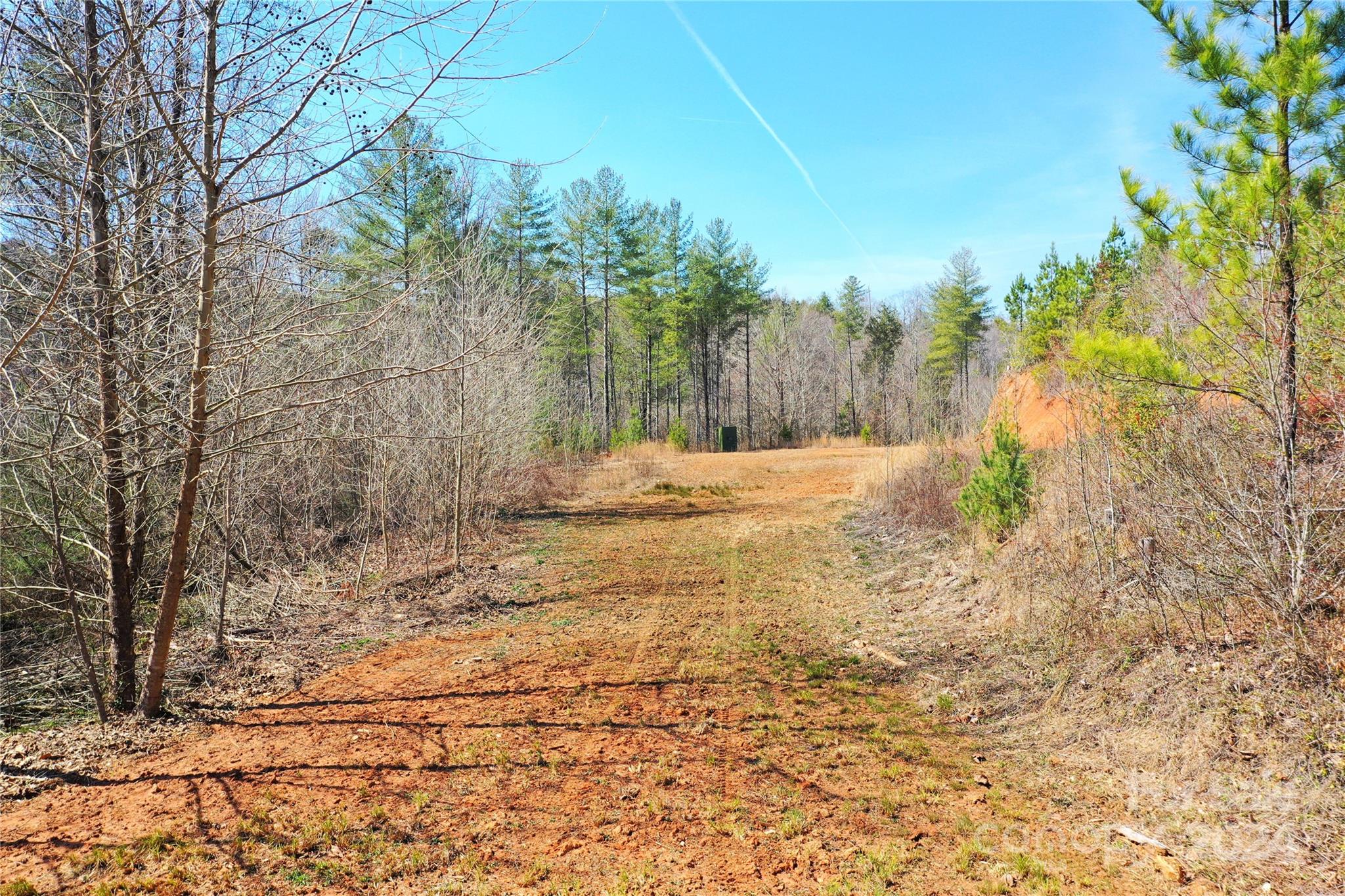 0 Playmore Beach Road Lenoir, NC 28645 - Photo 5 of 16 a view of dirt yard with trees