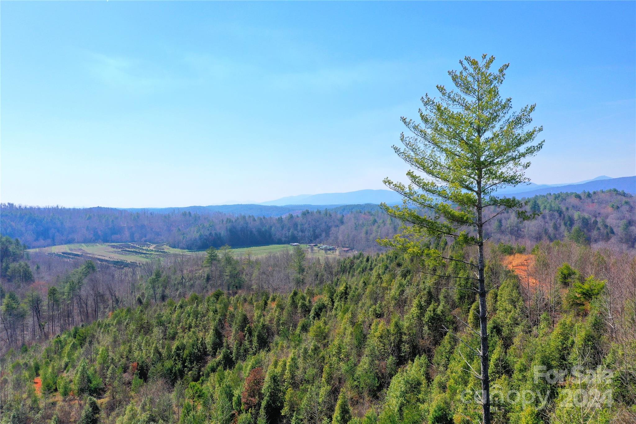 0 Playmore Beach Road Lenoir, NC 28645 - Photo 8 of 16 a view of a yard with plants and wooden fence