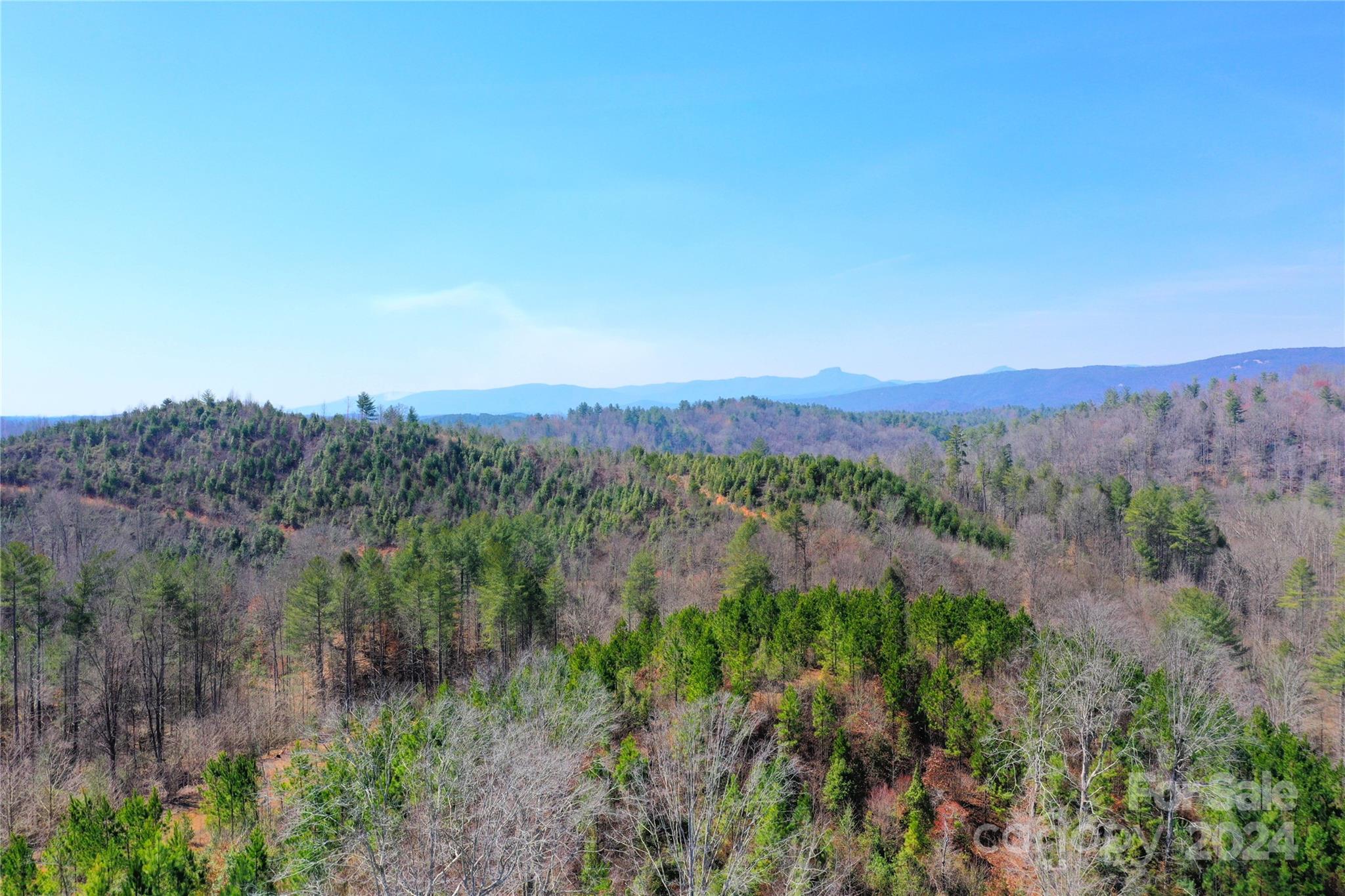 0 Playmore Beach Road Lenoir, NC 28645 - Photo 9 of 16 a view of a lush green field with trees in the background
