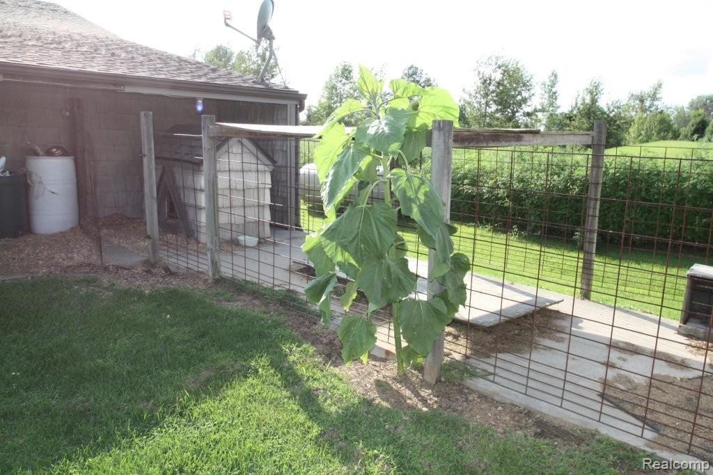 8280 Logana Road Avoca, MI 48006 - Photo 27 of 37 8280 Logana dog run.JPG
