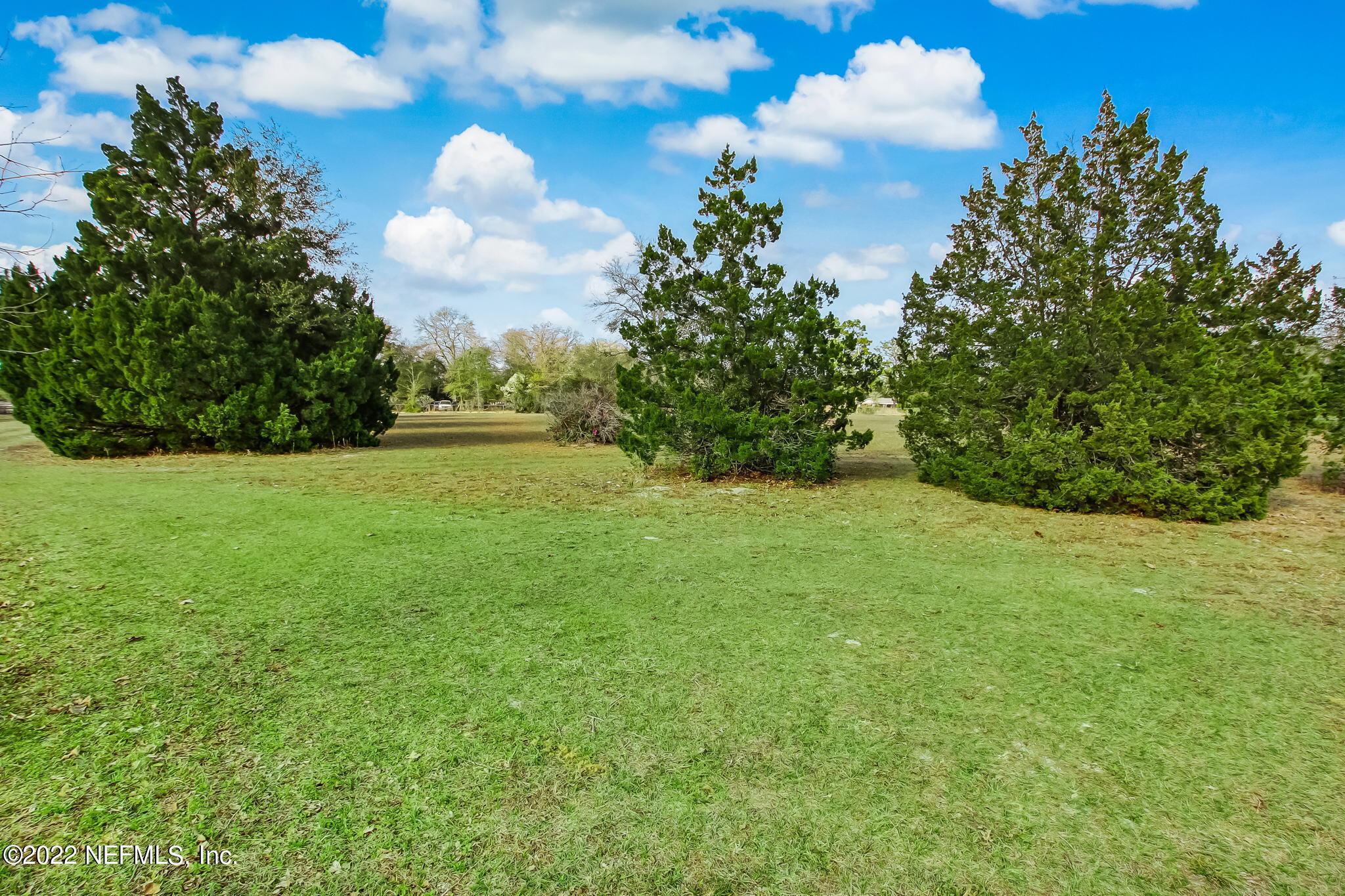 5665 Maverick Road Middleburg, FL 32068 - Photo 5 of 46 Front Yard