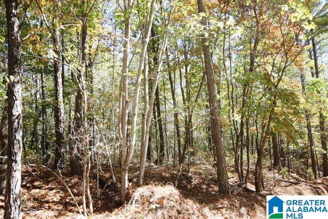 0 County Road 928, Unit 19 Delta, AL 36258 - Photo 20 of 43