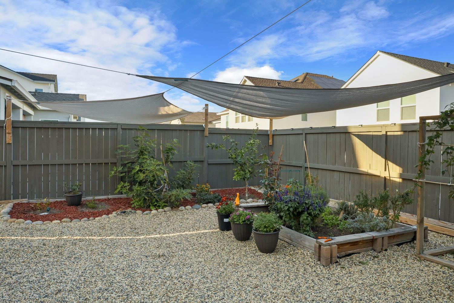 3081 Rio Grande Drive Tracy, CA 95377 - Photo 57 of 60 a view of a backyard with plants and patio