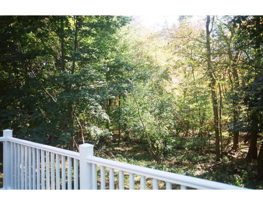 234 Old Stonebridge Road Wayland, MA 01778 - Photo 5 of 8 a view of balcony with wooden floor
