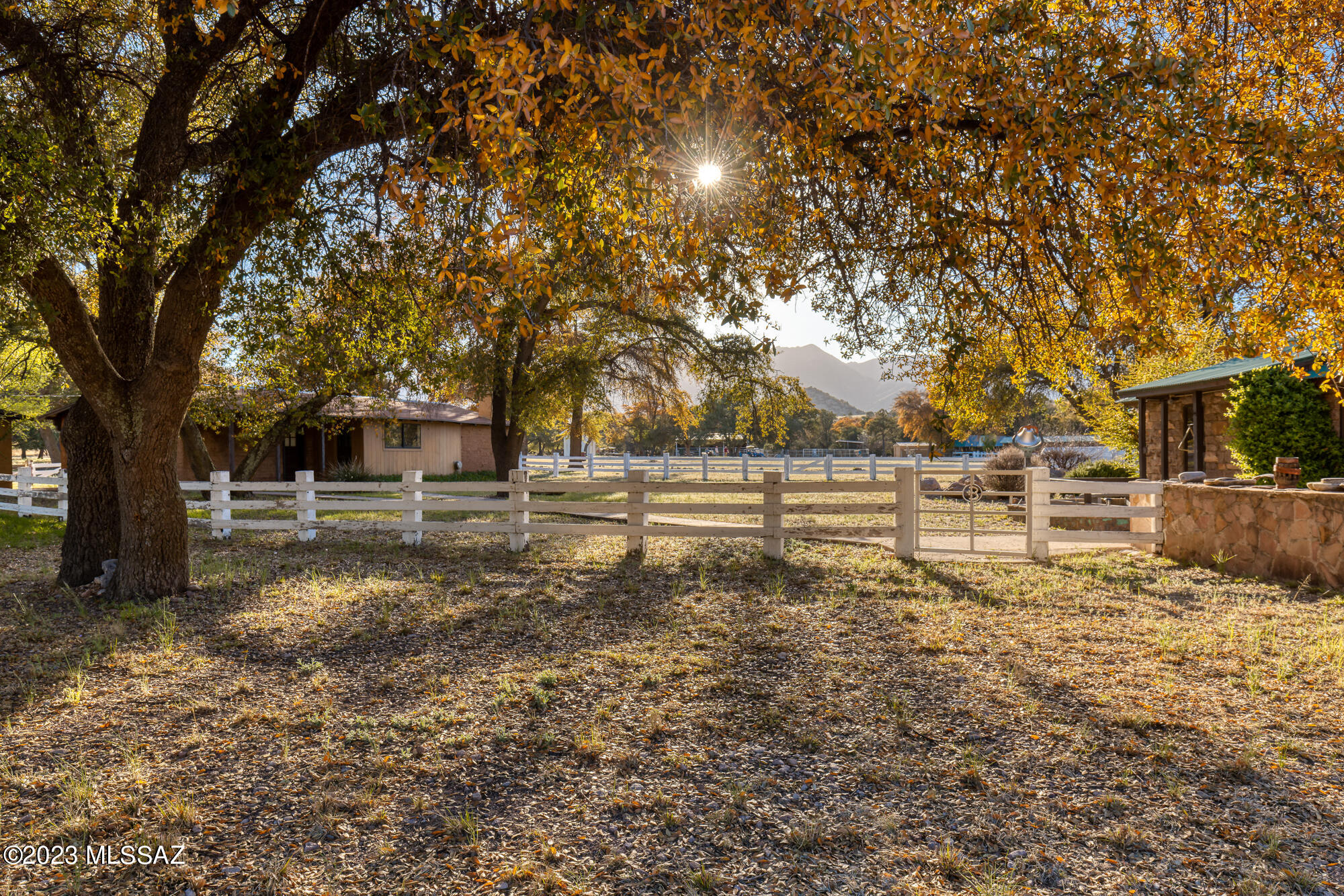21350 Sunset Loop Road Willcox, AZ 85643 - Photo 24 of 50 Gallery Image 24