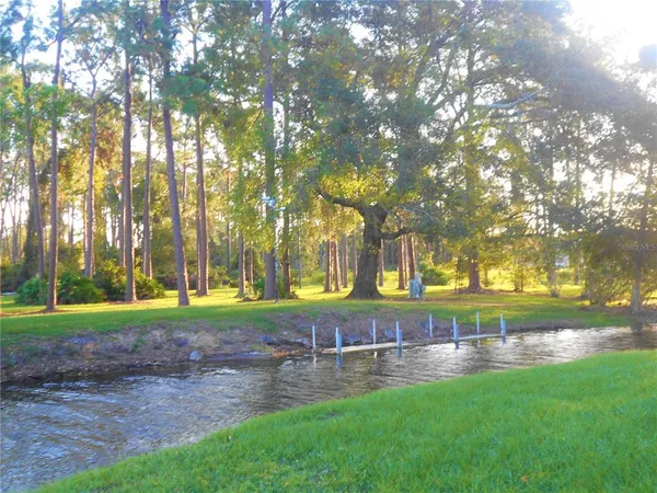 a view of a park with large trees