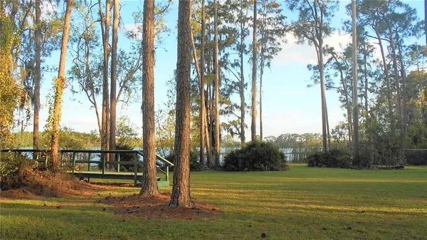 a view of a park with large trees