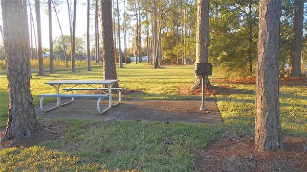 a view of a yard with patio