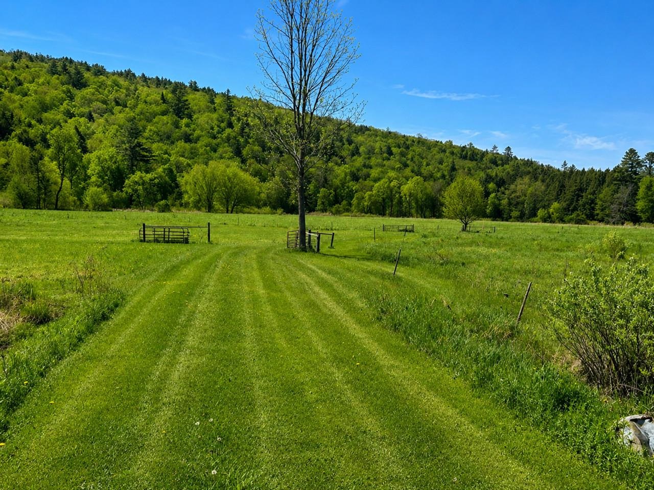 67 Worcester Village Road Worcester, VT 05682 - Photo 43 of 54