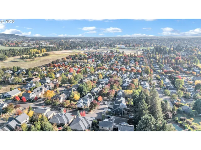 a view of city and mountain
