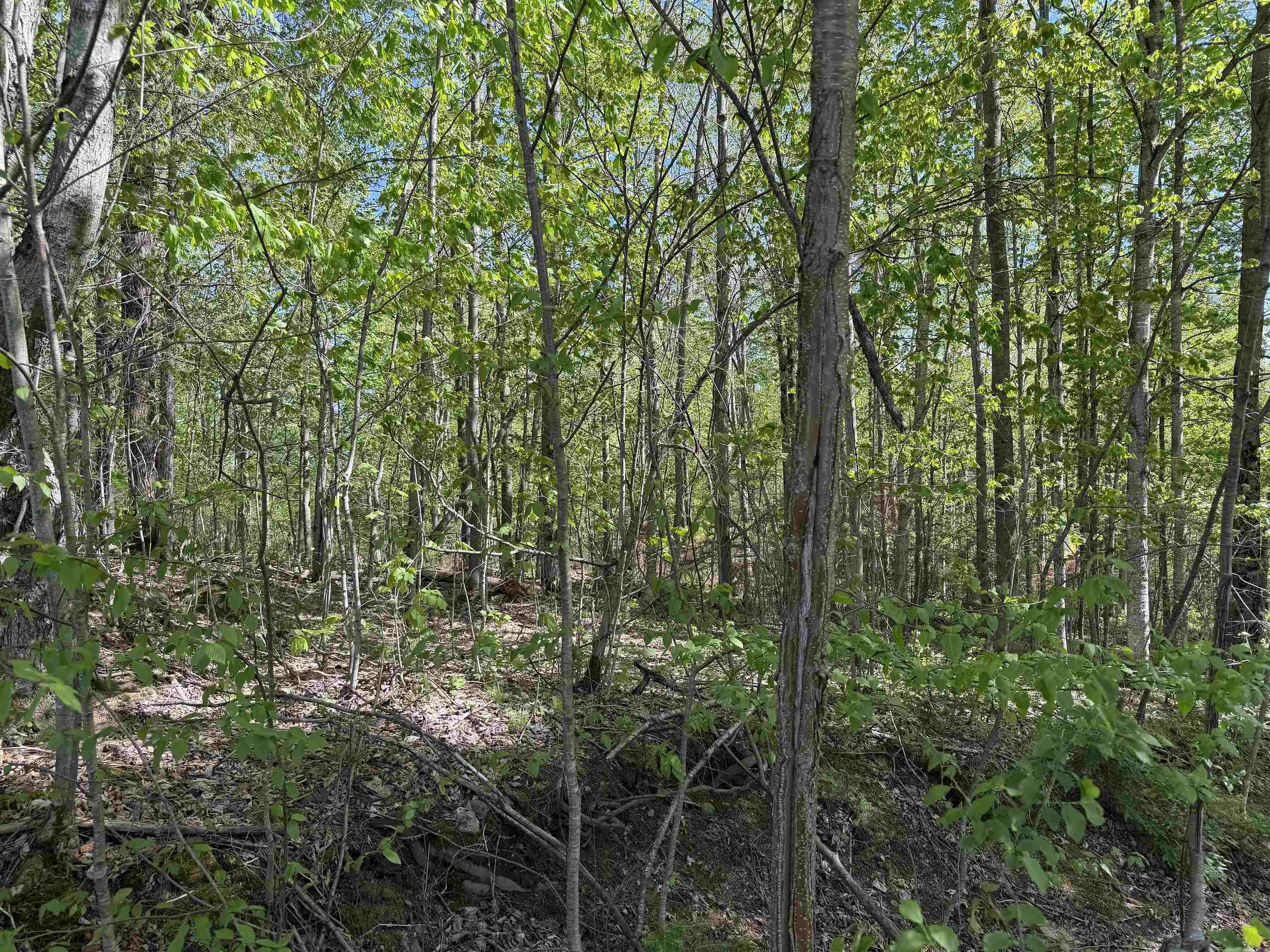 550 Petit Road Newport, VT 05855 - Photo 3 of 20