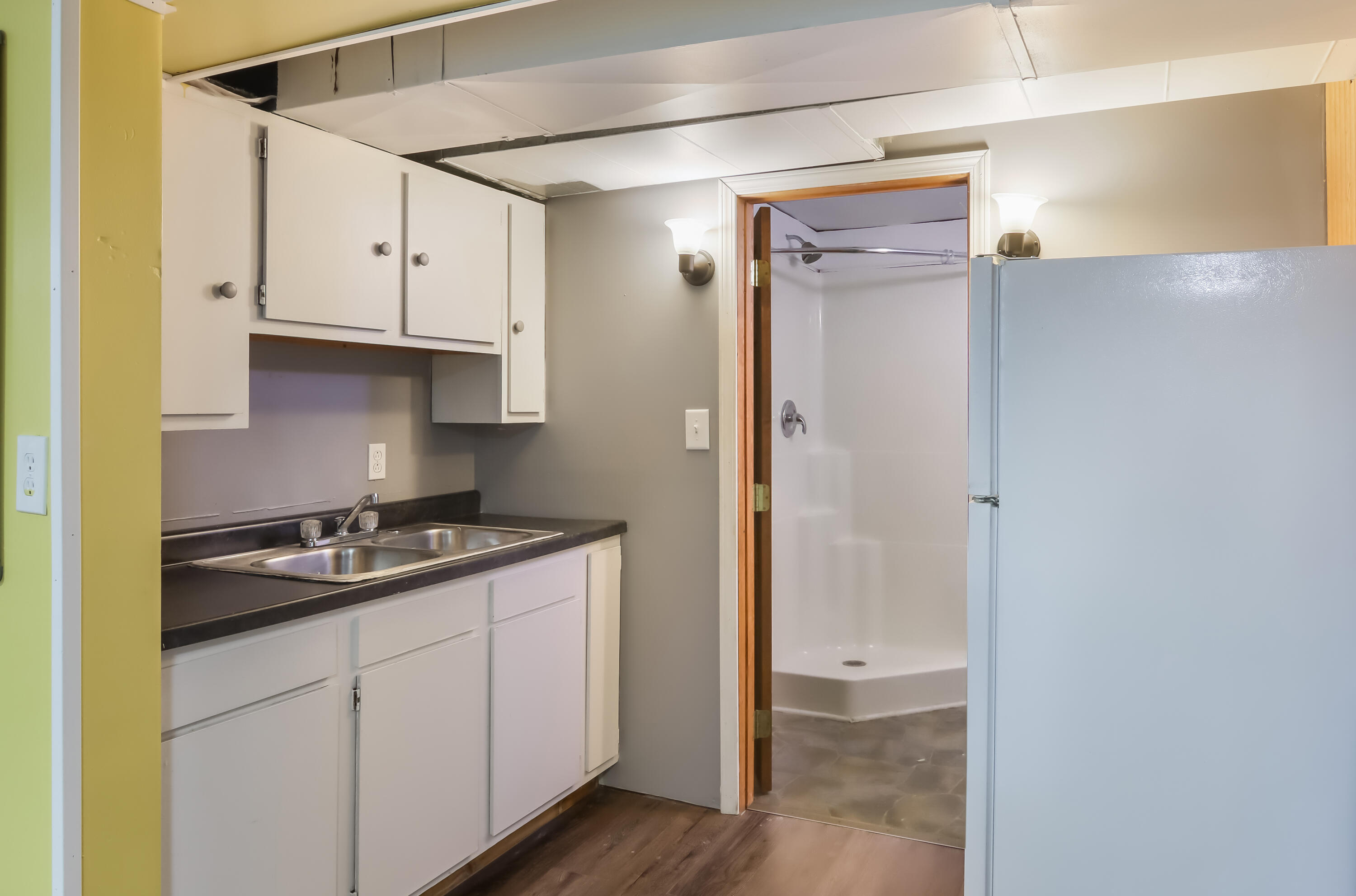 12414 Coster Road Southwest Fife Lake, MI 49633 - Photo 26 of 29 Basement Kitchen and Bathroom
