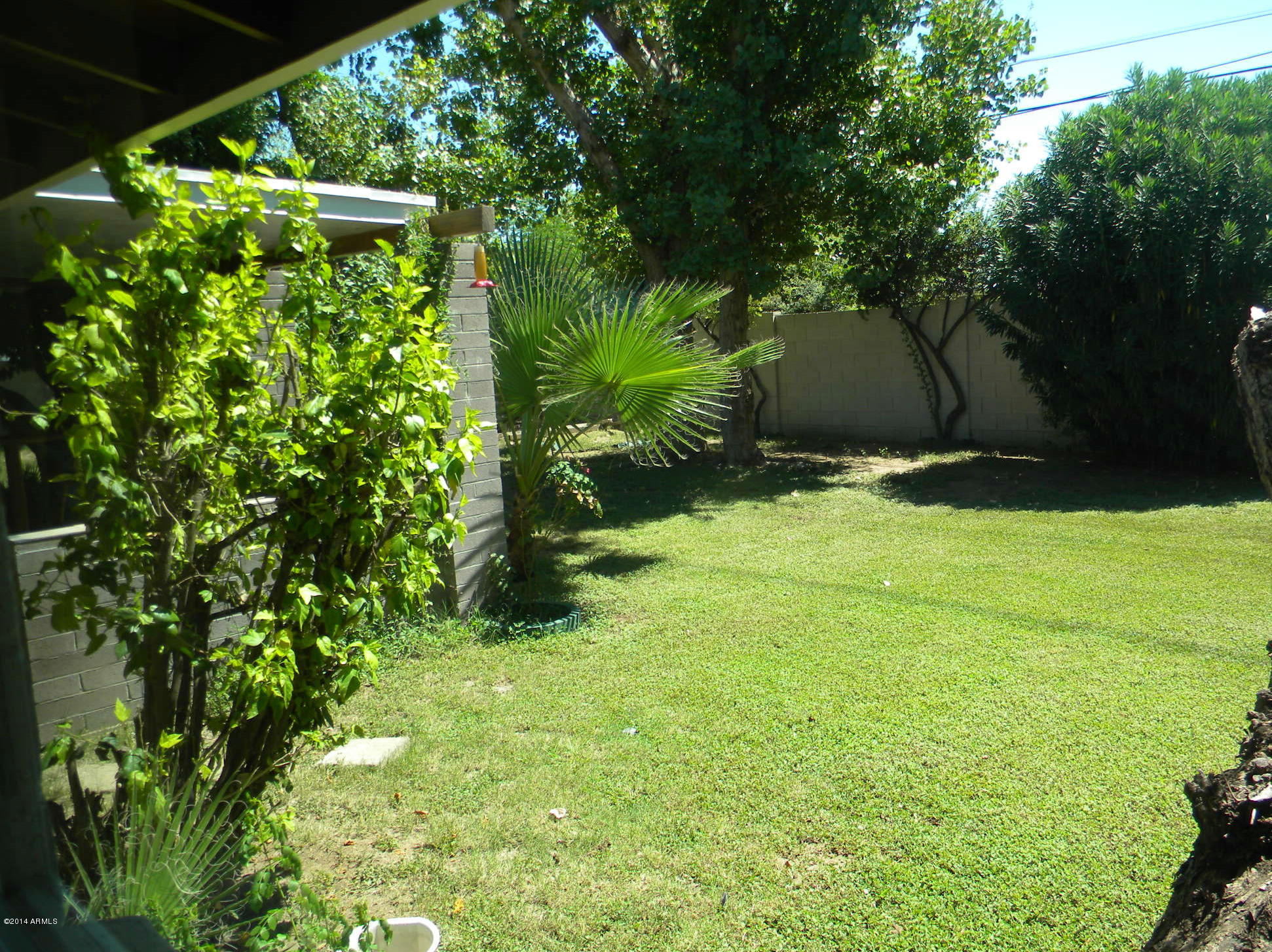 4645 East Osborn Road Phoenix, AZ 85018 - Photo 13 of 15 4848 window view bk yard
