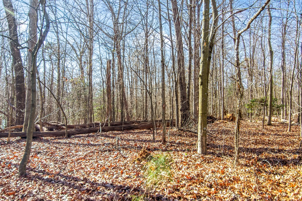 6-acres 6-acres Flat Creek Road Blue Ridge, GA 30513 - Photo 8 of 16 Gallery Image 8