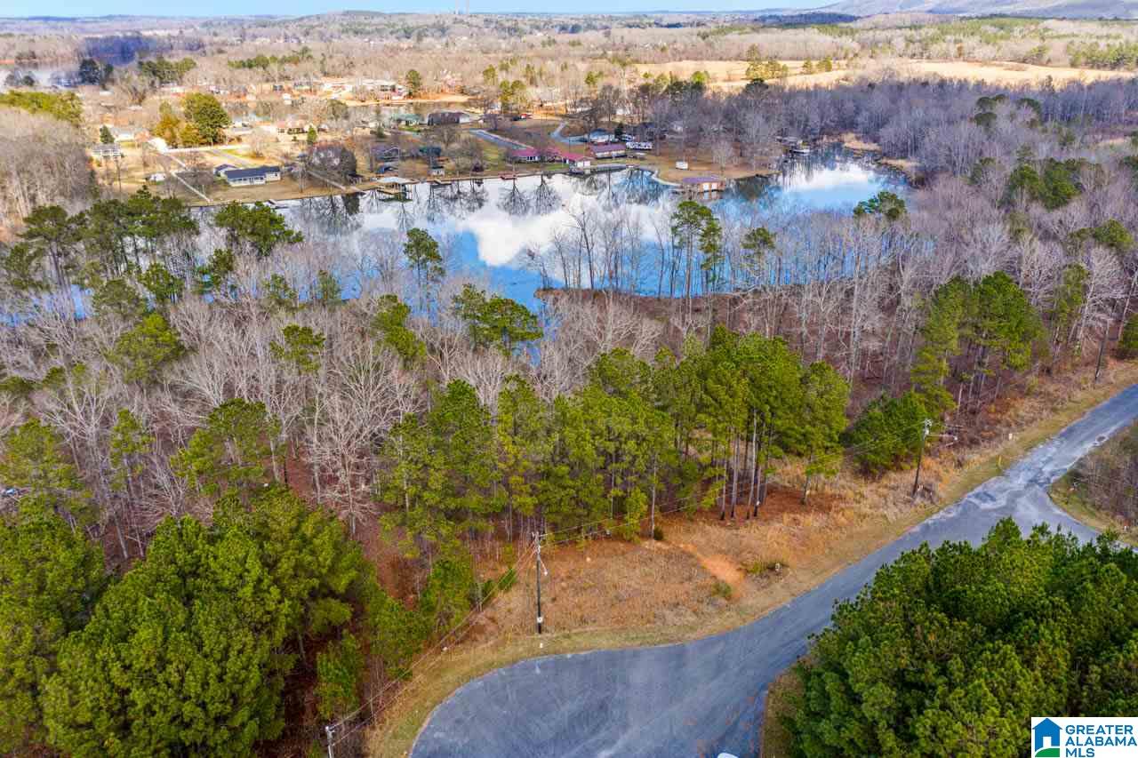 Castaway Road Sylacauga, AL 35151 - Photo 7 of 28