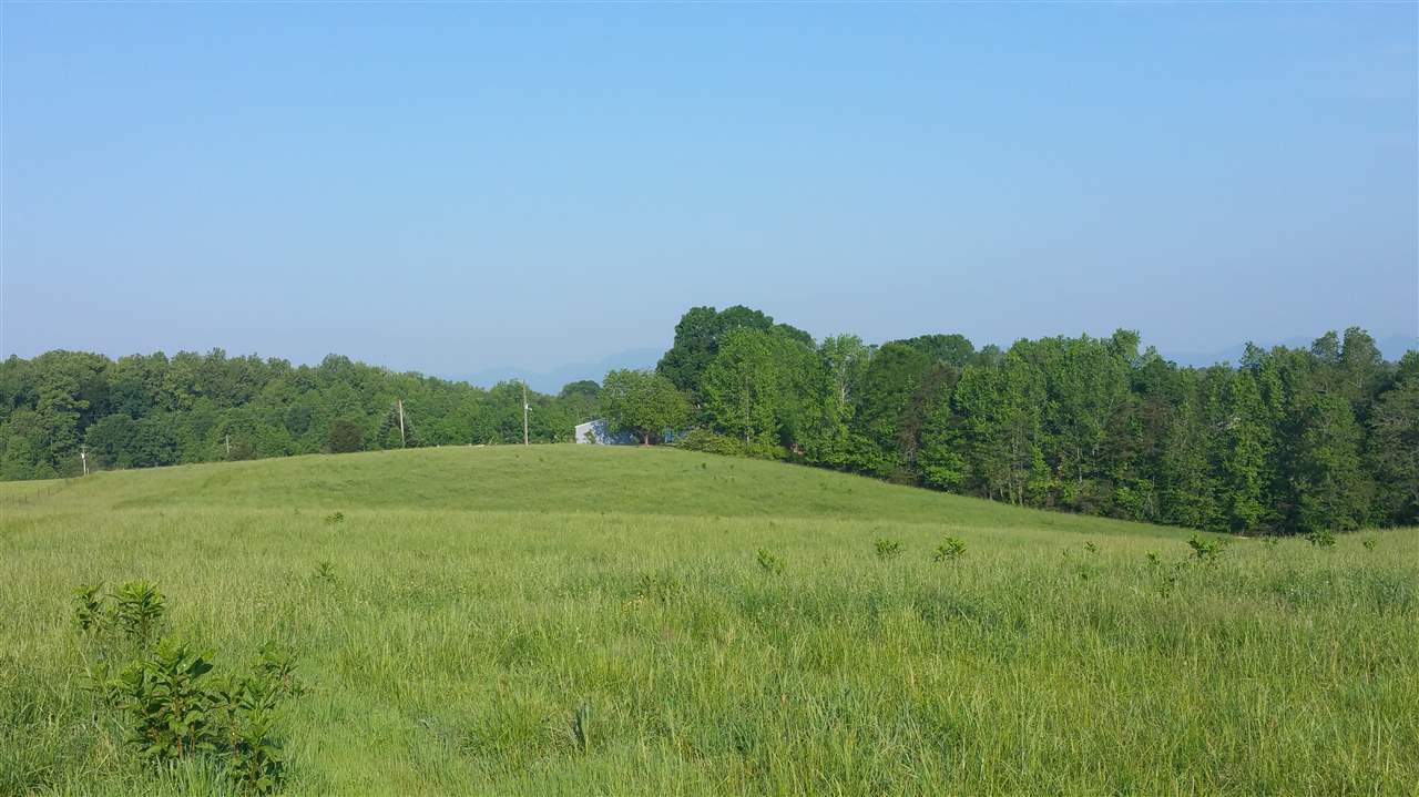 90 State Rd S-42-3002 Campobello, SC 29322 - Photo 4 of 6