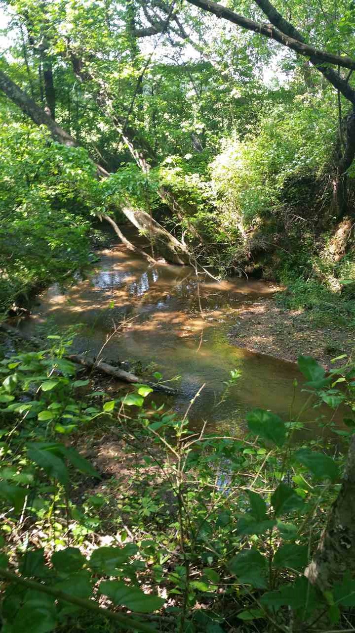 90 State Rd S-42-3002 Campobello, SC 29322 - Photo 5 of 6
