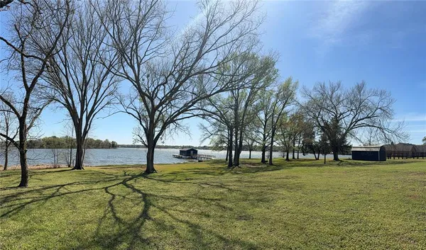 a view of yard with trees