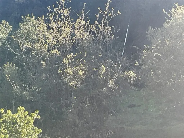 $890,000 | 67034 Paulsen Road, Lockwood, CA 93426