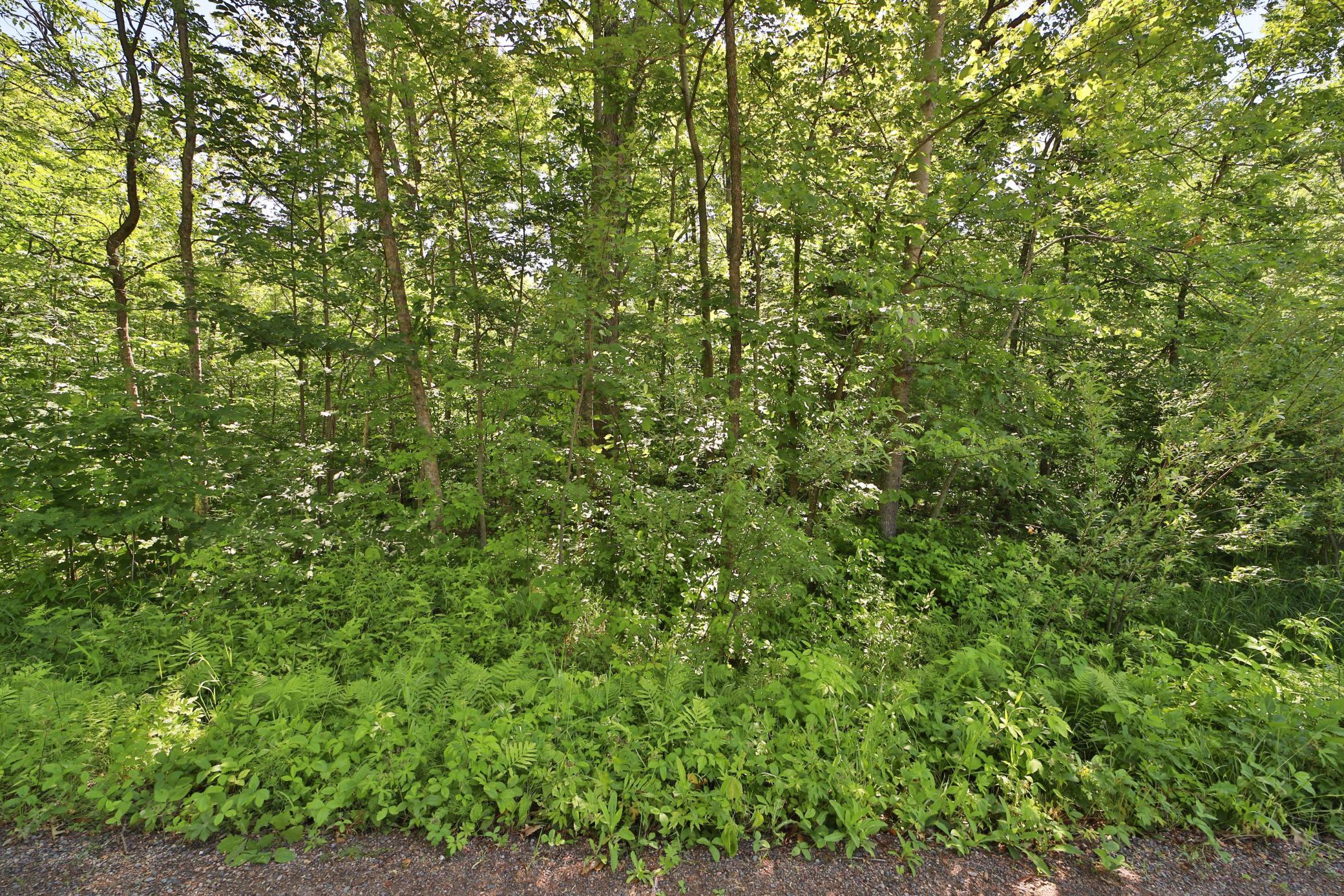 Tbd Meander Way Garrison, MN 56450 - Photo 2 of 4