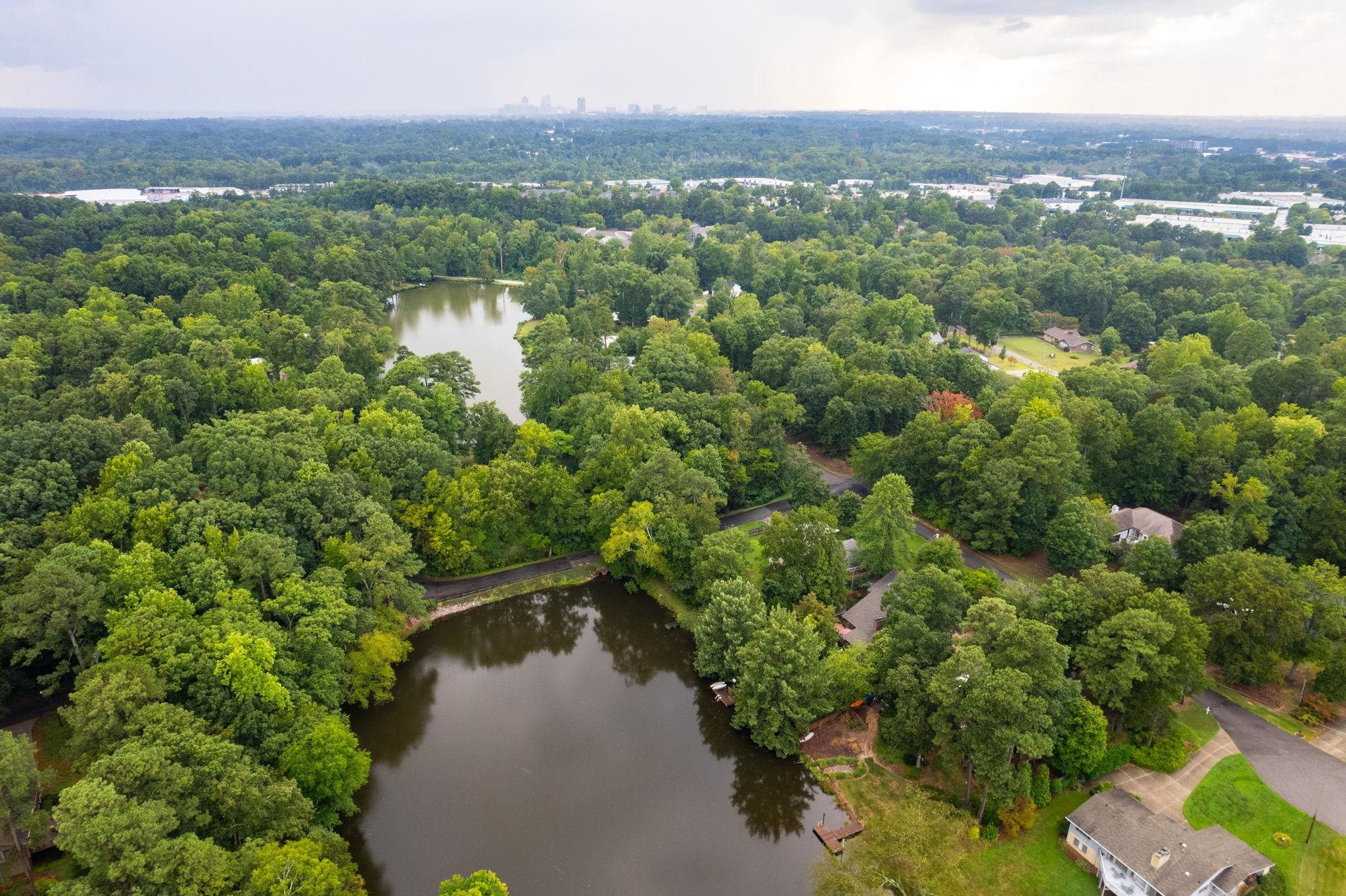 2204 Timberlake Drive Raleigh, NC 27604 - Photo 94 of 100 Downtown in the distance
