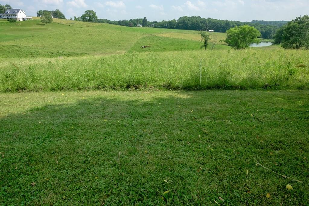 572 Harmony Road New Brighton, PA 15066 - Photo 21 of 24 Beautiful land. Pond is not part of the property.