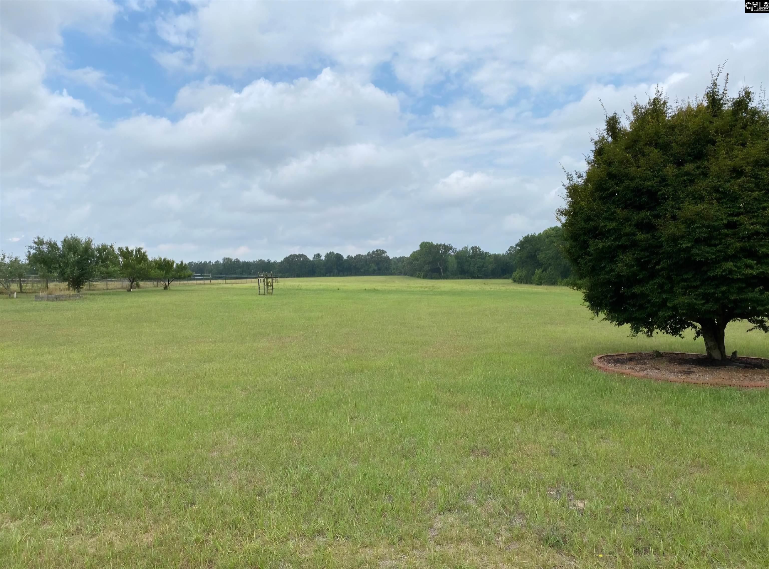 1080 Fox Young Road Wagener, SC 29164 - Photo 37 of 78